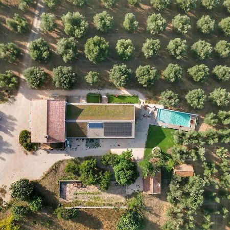 Agriturismo Casette Del Forno Montalto di Castro Exteriör bild