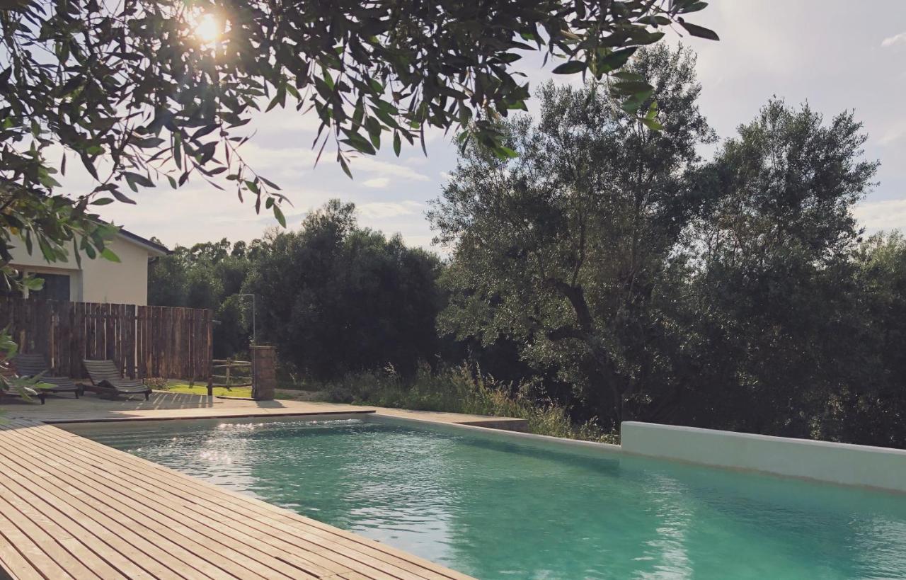 Agriturismo Casette Del Forno Montalto di Castro Exteriör bild